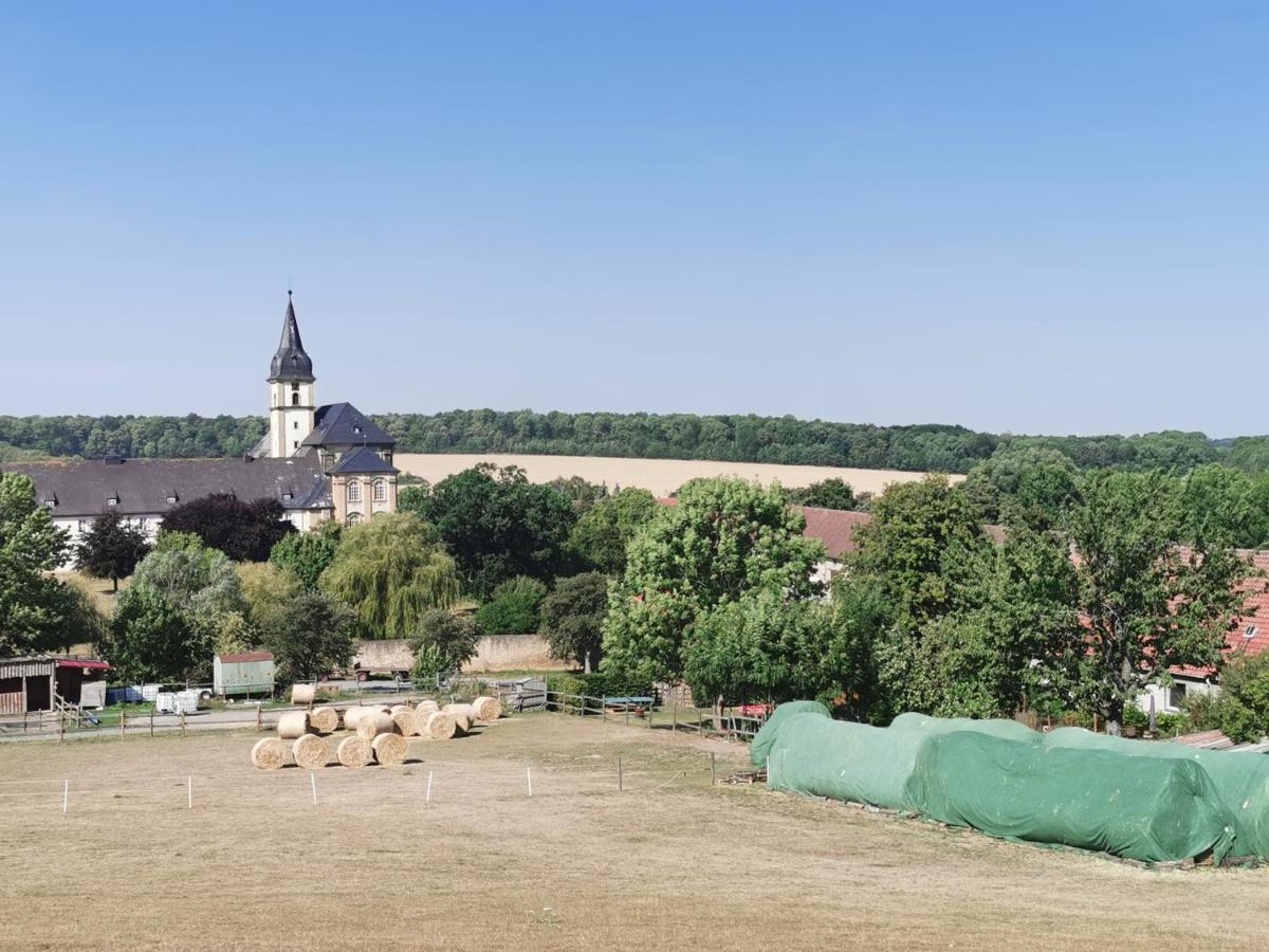 Ferienwohnung Alpakahof Goslar Exteriör bild